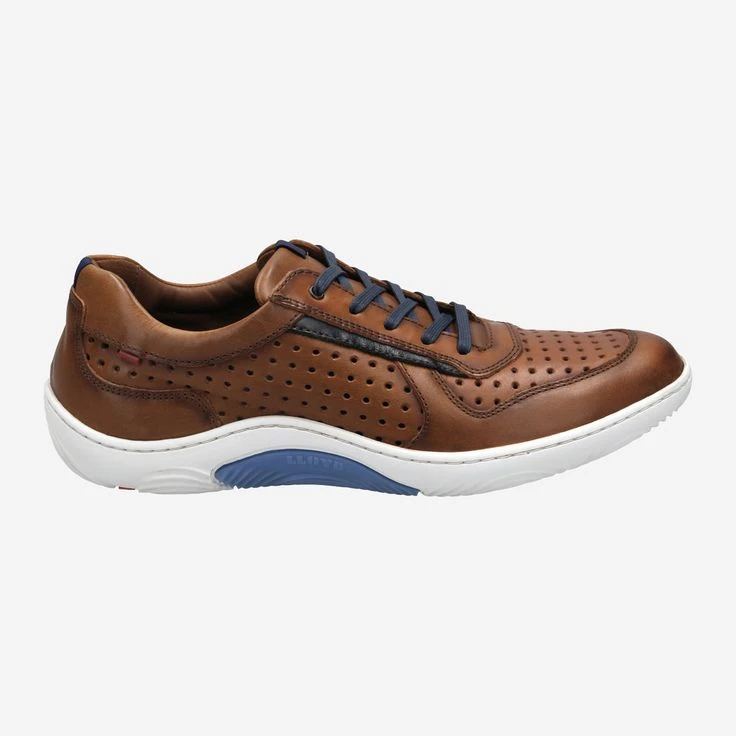 Lloyd Art. 13-043-03* ABOTT - Brown – Bild 3