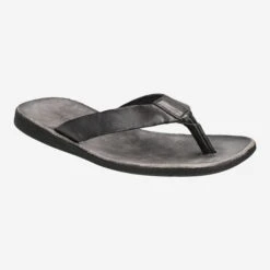 Art.  46-140 - Black