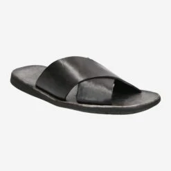 Art.  46-510 - Black