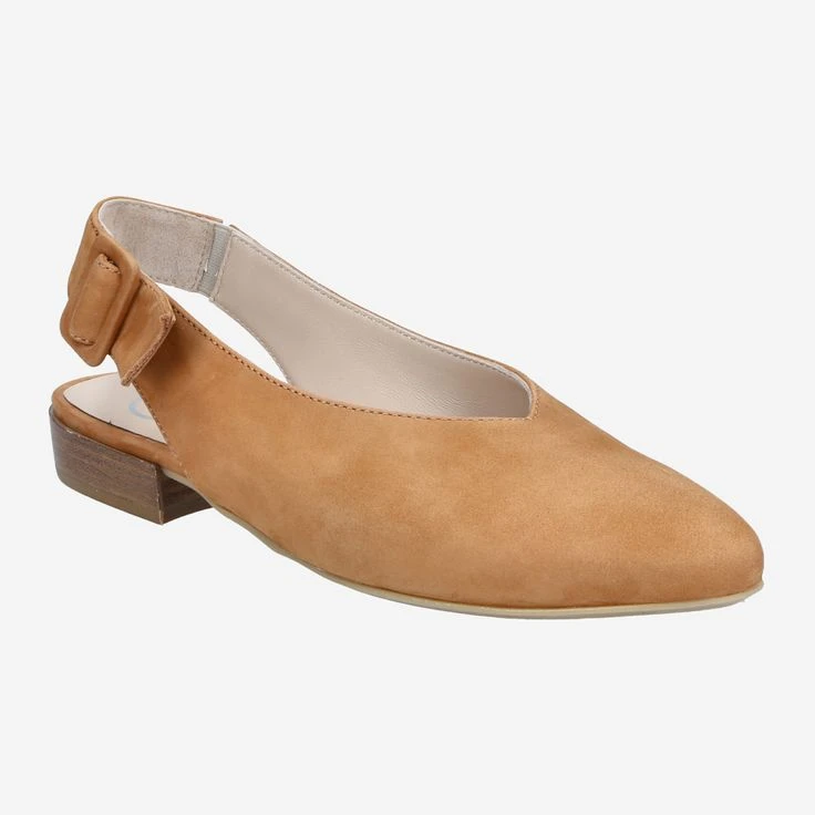 Art. 43.300.081-006 - Brown