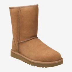 Ugg Art. CLASSIC SHORT II - Brown