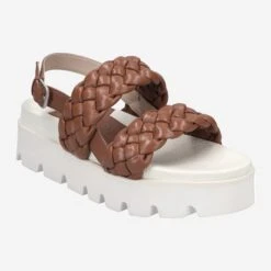 Art.  43.784.043 - Brown