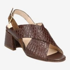 Art.  30436-5827 CIOCCOLATO - Brown