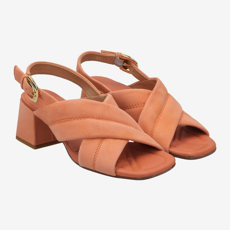 Art. FHARA ACE 49.198.139-002 - Orange – Bild 2