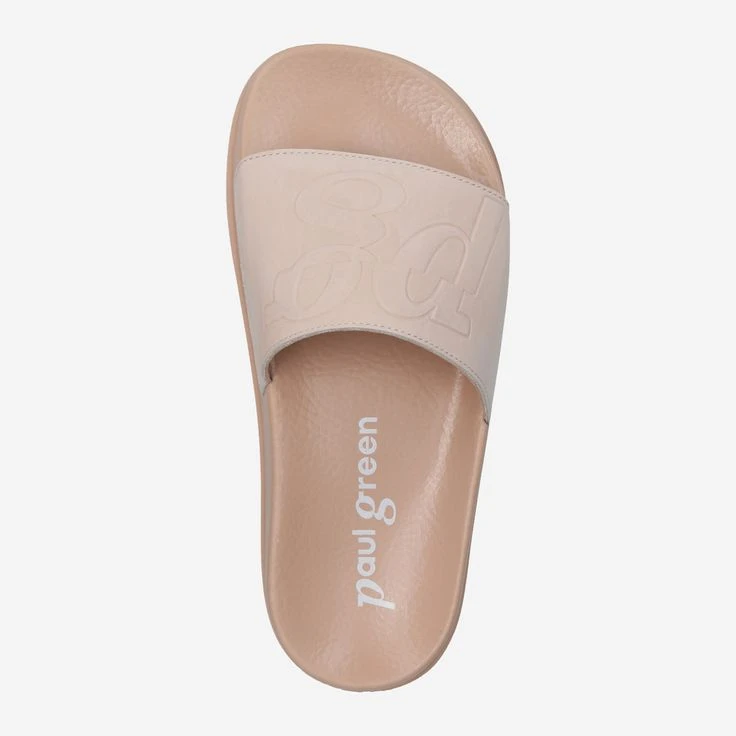 Paul Green Art. 7913-001 - Rose – Bild 5