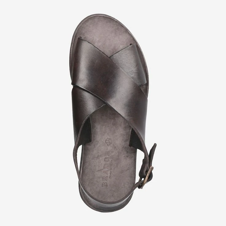 Art. 34-645 TDM - Brown – Bild 5